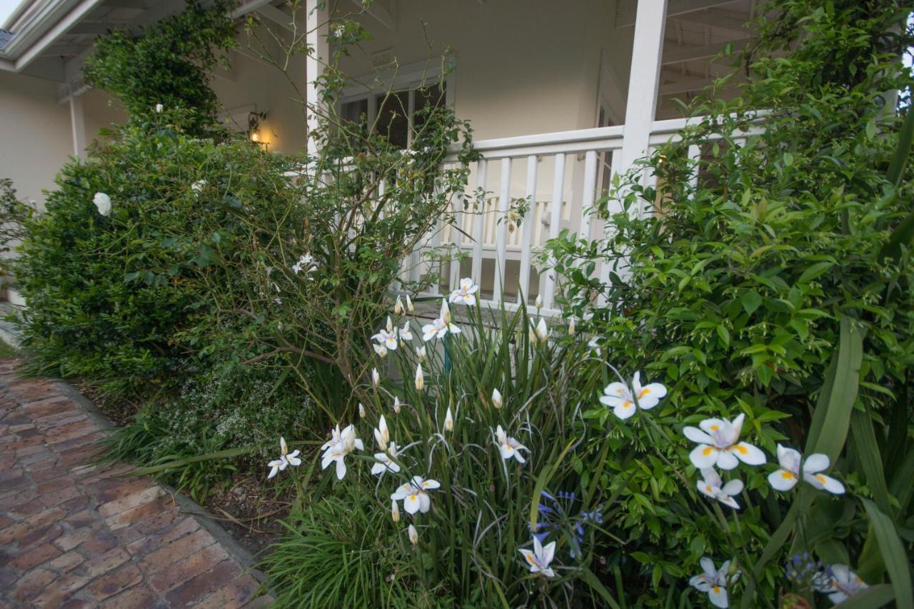 The Summer House Плетенбърг Бей Екстериор снимка